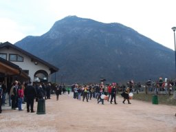 2014